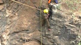 Indian officials rescue lamb and poisonous snake from same well