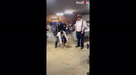 'Hilarious Scenes from a Wild Wedding Afterparty in Adairsville'