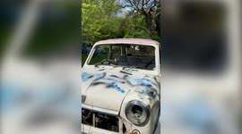 UK family fear yobs who wrecked their collection of vintage Minis did it for a TikTok prank