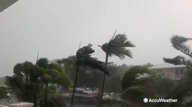 Essential apps to keep in your phone for severe weather