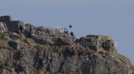 House of Dragon GTO prequel, Stars Matt Smith and Emma D`arcy are filmed high on the cliffs of St Michaels Mount