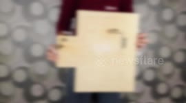 3 amazing DIY wood crafts for the cat with your own hands