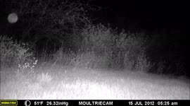 Strange bouncing full moon like appearance early May 2021 in Idaho