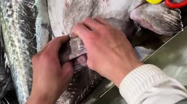 Large plastic cup found in fish’s stomach in China