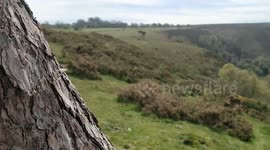 Peaceful walk on the Stiper Stones, Shropshire