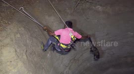 Brave rescuer pulls wild civet from well in northwestern India