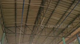 Snake wranglers use crane to catch huge python coiled in roof