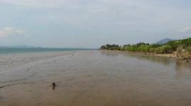 Shell collector pushes through wet sand while searching for food