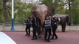 How many people does it take to lift an elephant? Wooden herd installed near Buckingham Palace