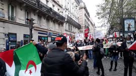Police attempt to halt pro-Palestine protest on streets of Paris