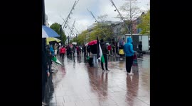 Pro-Palestine demonstration in Cork, Ireland