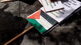 Thousands join pro-Palestine demonstration in Nantes, France