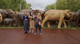 Joanna Lumley Makes Press Smell Nice At Elephant Art Installation At Buckingham Palace