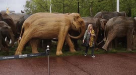Joanne Lumley And Elephant Family Outside Buckingham Palace