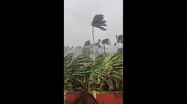 India: At Least 6 Dead After Cyclone Tauktae Batters Western Region 3