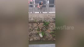 Pedestrians use bucket to rescue kitten struggling to climb river embankment in China