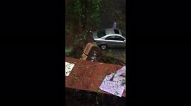 Fallen tree causes damages after tropical Cyclone Tauktae hits Mumbai