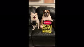 This cute dog duo welcomes you to the fart zone