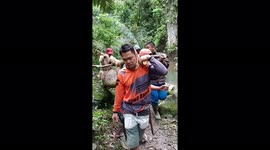 LONGER VERSION: Indonesian men catch 23-foot python suspected of killing villagers
