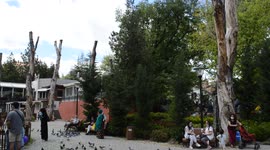 People walk in a park in Ankara as Turkey enters ‘gradual normalization’ period