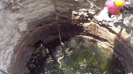 Indian wildlife official saves hissing cobra from drowning in 70-foot-deep well