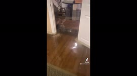 Shocking footage shows floodwaters rushing in a Louisiana home