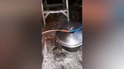 temp