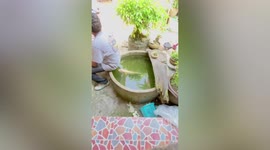 Fish bites man’s bottom when he sits down on garden ornamental pond