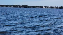 Catching sight of a few Dolphins.