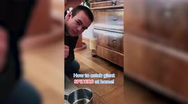 Swiss teen captures realistic looking spider created with visual effects