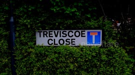 Police launch investigation after man dies following early morning fight on residential cul-de-sac