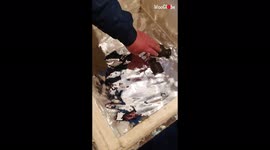 Man seen handling beautiful but deadly pool of liquid mercury