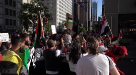 Pro-Palestinian protest in New York, USA