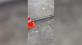 Giant monitor lizard runs throughs school playground in Thailand