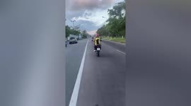 Newly-adopted pet cat clings on back of owner while riding motorcycle