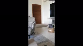 My dog Amber excellent boy