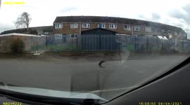 Sparrow hawk almost catches collared Dove