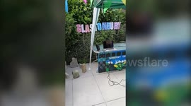 Festival-lover throws 'Glastonbury'-themed party in back garden