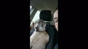 temp