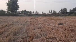 Farmer riding motorcycle stacked with hay topples over on slope