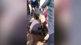 Livestock rescued after falling into fissures caused by earthquake in northwestern China