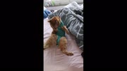 temp