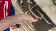 temp