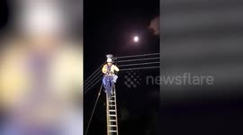 Kitten rescued after spending 8 HOURS stuck on 10-metre-high live electricity pole