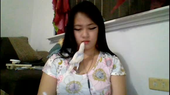 Pet birds refuse to leave owner alone while she is on school video call