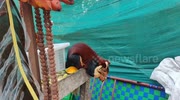 temp