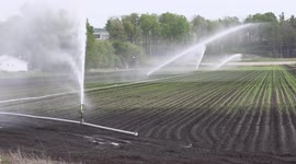 Ontario farmers irrigate freshly planted crops in the Holland marsh farmland north of Toronto as dry weather continues and temperatures heat up in the province