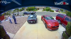 'Missing Cockatiel Found in an Unexpected Way '