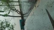 temp
