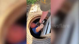 US police rescue terrified kitten from a storm drain, then their Crime Scene Technician adopts him!